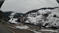 Archiv Foto Webcam Hasenhorn im Südschwarzwald 11:00