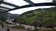 Archiv Foto Webcam Hasenhorn im Südschwarzwald 11:00