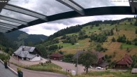 Archiv Foto Webcam Hasenhorn im Südschwarzwald 11:00