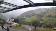 Archiv Foto Webcam Hasenhorn im Südschwarzwald 11:00