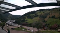 Archiv Foto Webcam Hasenhorn im Südschwarzwald 11:00