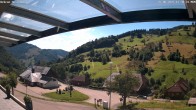 Archiv Foto Webcam Hasenhorn im Südschwarzwald 11:00