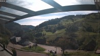 Archiv Foto Webcam Hasenhorn im Südschwarzwald 11:00