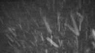 Archiv Foto Webcam Hexenexpress-Talstation 01:00