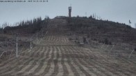 Archiv Foto Webcam Hexenexpress-Talstation 17:00