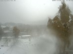 Archived image Webcam Hahnenklee: spa gardens 09:00