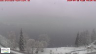 Archived image Webcam Titisee (Black Forest) 07:00