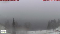 Archiv Foto Webcam Titisee im Schwarzwald 15:00