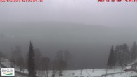 Archived image Webcam Titisee (Black Forest) 13:00