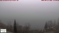 Archived image Webcam Titisee (Black Forest) 11:00