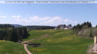 Archiv Foto Webcam Skilift Schwärzenbach 11:00