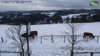 Archiv Foto Webcam Willingen: Graf Stolberg Hütte bei Usseln 11:00