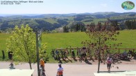 Archived image Webcam Mountain Hut Graf Stolberg near Willingen 11:00