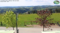 Archiv Foto Webcam Willingen: Graf Stolberg Hütte bei Usseln 11:00