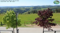 Archiv Foto Webcam Willingen: Graf Stolberg Hütte bei Usseln 11:00