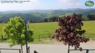 Archived image Webcam Mountain Hut Graf Stolberg near Willingen 09:00