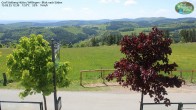 Archived image Webcam Mountain Hut Graf Stolberg near Willingen 11:00