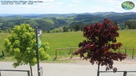 Archived image Webcam Mountain Hut Graf Stolberg near Willingen 13:00