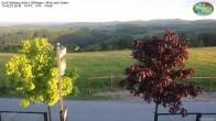 Archived image Webcam Mountain Hut Graf Stolberg near Willingen 19:00