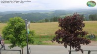 Archived image Webcam Mountain Hut Graf Stolberg near Willingen 13:00