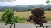 Archived image Webcam Mountain Hut Graf Stolberg near Willingen 17:00