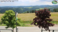 Archiv Foto Webcam Willingen: Graf Stolberg Hütte bei Usseln 13:00