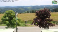 Archiv Foto Webcam Willingen: Graf Stolberg Hütte bei Usseln 13:00
