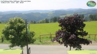 Archiv Foto Webcam Willingen: Graf Stolberg Hütte bei Usseln 11:00