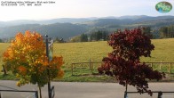 Archiv Foto Webcam Willingen: Graf Stolberg Hütte bei Usseln 08:00
