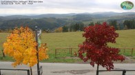 Archiv Foto Webcam Willingen: Graf Stolberg Hütte bei Usseln 11:00
