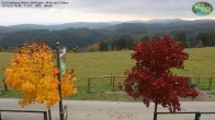 Archiv Foto Webcam Willingen: Graf Stolberg Hütte bei Usseln 15:00