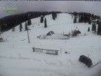 Archived image Webcam Mountain hut Menzenschwand 13:00