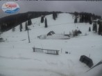 Archived image Webcam Mountain hut Menzenschwand 15:00