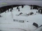 Archived image Webcam Mountain hut Menzenschwand 17:00