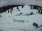 Archived image Webcam Mountain hut Menzenschwand 19:00