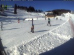 Archiv Foto Webcam Menzenschwander Hütte, Schwarzwald 11:00