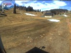 Archived image Webcam Mountain hut Menzenschwand 11:00