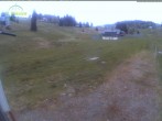 Archiv Foto Webcam Menzenschwander Hütte, Schwarzwald 19:00