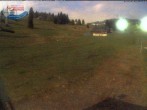 Archiv Foto Webcam Menzenschwander Hütte, Schwarzwald 21:00
