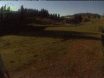 Archiv Foto Webcam Menzenschwander Hütte, Schwarzwald 01:00