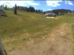 Archived image Webcam Mountain hut Menzenschwand 13:00