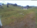 Archived image Webcam Mountain hut Menzenschwand 07:00