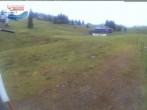 Archived image Webcam Mountain hut Menzenschwand 05:00