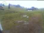 Archived image Webcam Mountain hut Menzenschwand 11:00