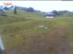 Archived image Webcam Mountain hut Menzenschwand 15:00