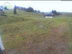 Archiv Foto Webcam Menzenschwander Hütte, Schwarzwald 07:00