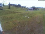 Archiv Foto Webcam Menzenschwander Hütte, Schwarzwald 07:00