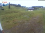 Archiv Foto Webcam Menzenschwander Hütte, Schwarzwald 11:00