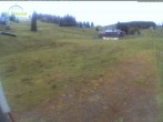 Archived image Webcam Mountain hut Menzenschwand 19:00