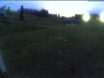 Archiv Foto Webcam Menzenschwander Hütte, Schwarzwald 21:00